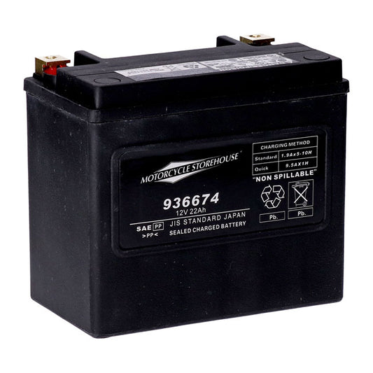 AGM Standard Series Batterie. 12V, 22Ah. 325CCA