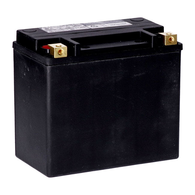 AGM Standard Series Batterie. 12V, 22Ah. 325CCA