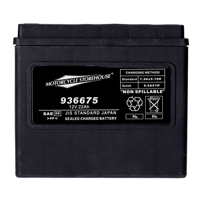 AGM Standard Series Batterie. 12V, 22Ah. 325CCA