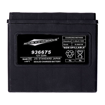 AGM Standard Series Batterie. 12V, 22Ah. 325CCA