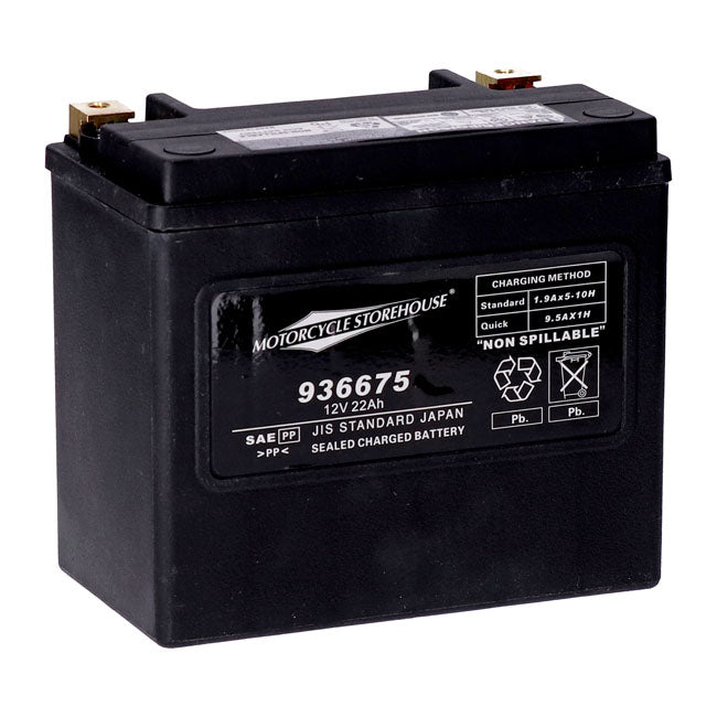 AGM Standard Series Batterie. 12V, 22Ah. 325CCA