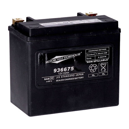 AGM Standard Series Batterie. 12V, 22Ah. 325CCA