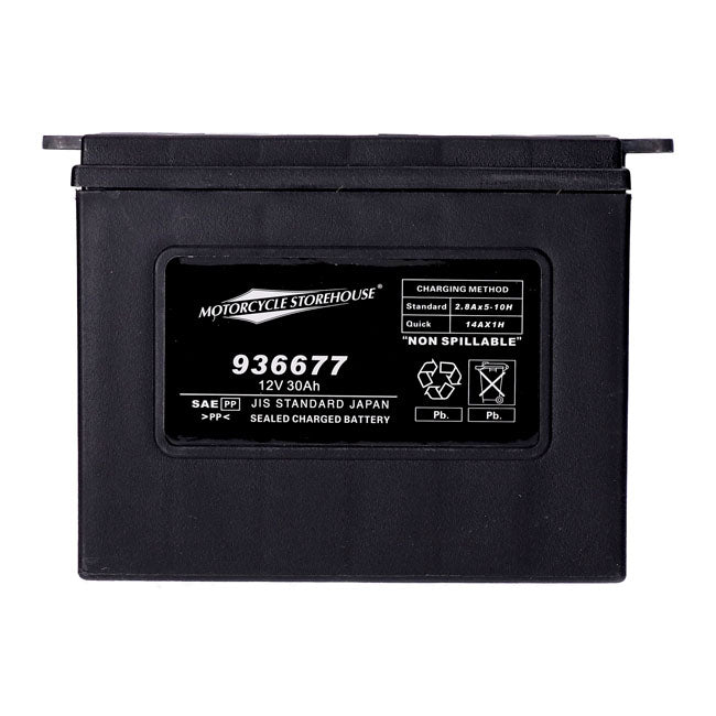 AGM Standard Series Batterie. 12V, 30Ah. 370CCA