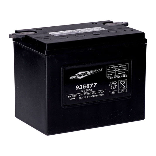 AGM Standard Series Batterie. 12V, 30Ah. 370CCA