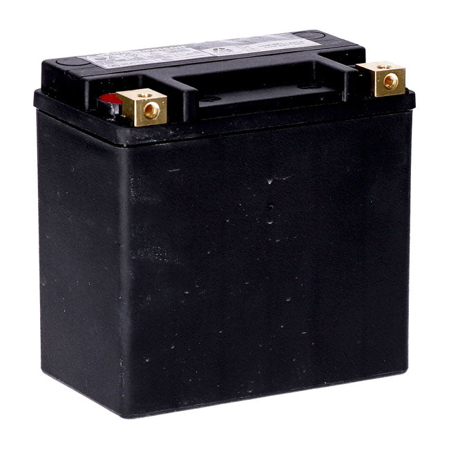 AGM Standard Series Batterie. 12V, 14Ah. 240CCA