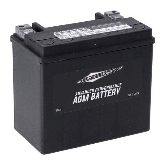 AGM Advance Series Batterie. 12V, 19AH. 325CCA