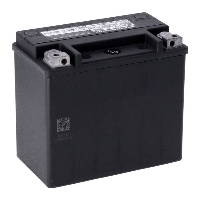 AGM Advance Series Batterie. 12V, 19AH. 325CCA