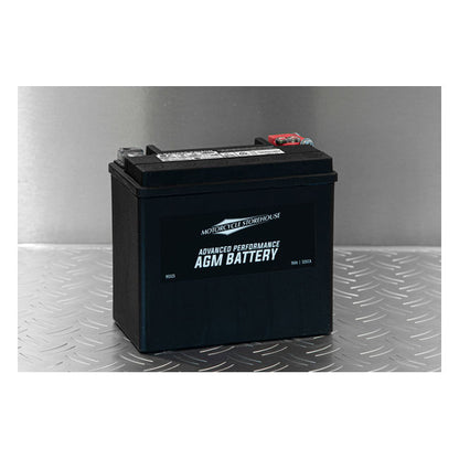 AGM Advance Series Batterie. 12V, 19AH. 325CCA